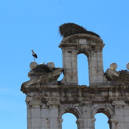 Hotel El Bedel Alcala de Henares Ngoại thất bức ảnh
